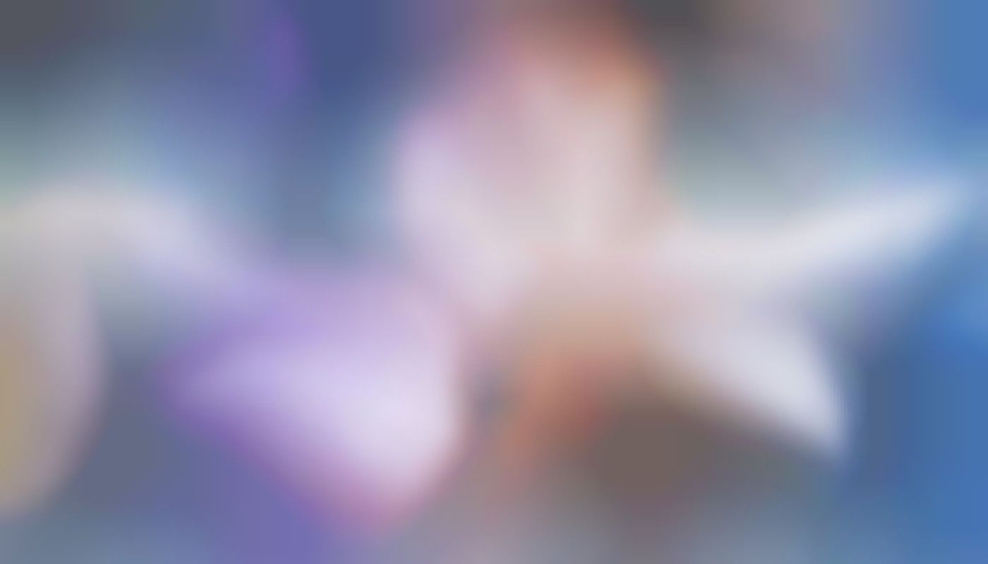 Exploring The Impact Of Spatial Audio In Immersive Adult VR Experiences